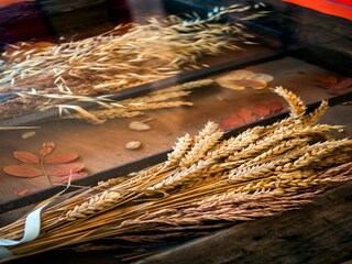 Appartamento Welt  35