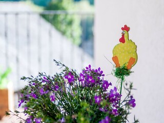 Appartamento Welt  40