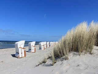Ferienhaus Kröpelin Umgebung 33