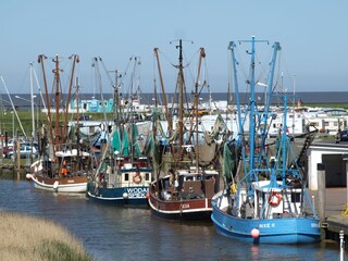 Kutterhafen von Spieka-Neufeld