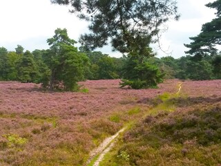 Vakantiehuis Deurningen Omgeving 32