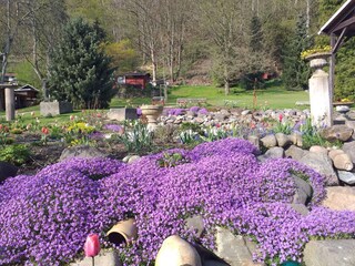 Bungalow Bad Schandau Außenaufnahme 3