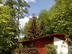 Bungalow Gartenhäuschen Flora - Bad Schandau - image1