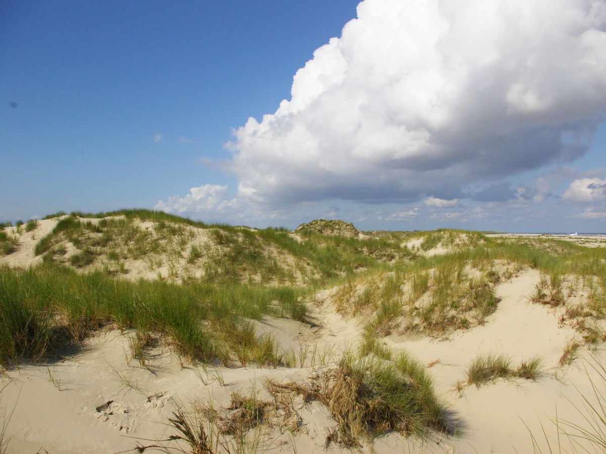 Dünenlandschaft