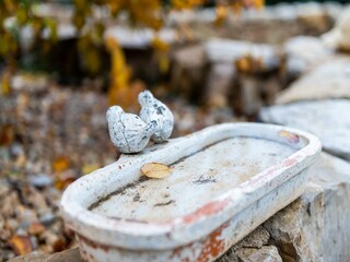 Type de propriété : Ferme Culla  32