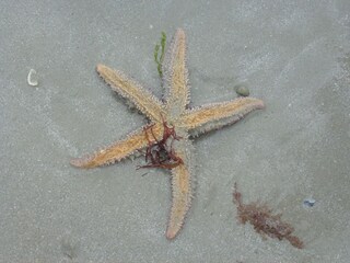 Vakantiehuis Penmarch Omgeving 20