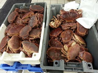 Casa per le vacanze Penmarch Ambiente 19