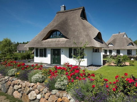 Ferienhaus Seeadler 34