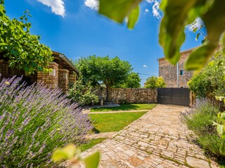 Villa Barban Registrazione all'aperto 9