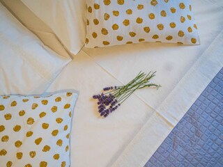 Villa Barban Ausstattung 31