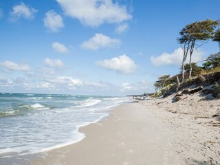 Ferienhaus Fuhlendorf Außenaufnahme 14