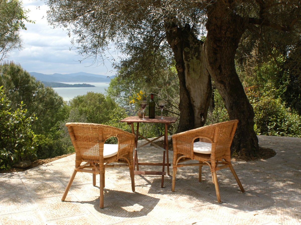 Idyllische Olivenbaumterrasse (Wohnung Vera)