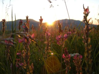 Appartamento per vacanze Passignano sul Trasimeno Ambiente 18