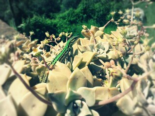 Appartamento per vacanze Passignano sul Trasimeno Ambiente 17