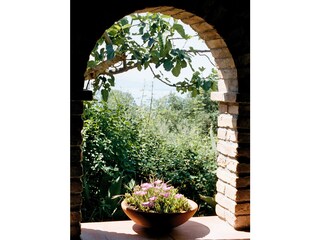 Appartamento per vacanze Passignano sul Trasimeno Registrazione all'aperto 6