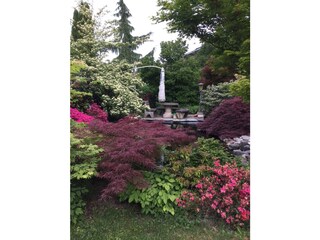 Blick in den  Garten
