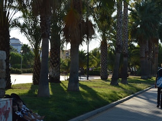 Park Les Bassetes
