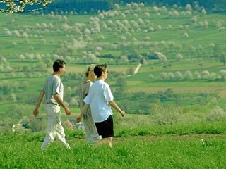 Appartamento Bad Bellingen Ambiente 12