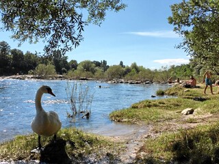 Apartamento Bad Bellingen  9