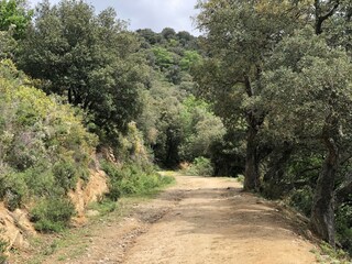 Casa de vacaciones Sorède Entorno 29