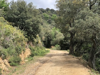 Holiday house Sorède Environment 37