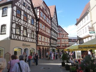 Appartamento per vacanze Neunkirchen in Baden Ambiente 17