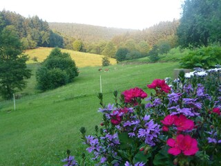 Appartamento per vacanze Neunkirchen in Baden Ambiente 16