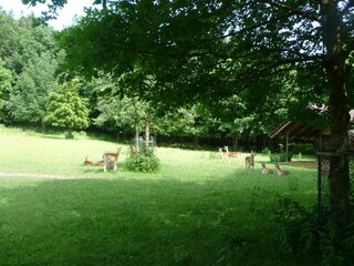 Appartamento per vacanze Neunkirchen in Baden Ambiente 18