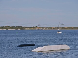 Appartement Kamperland Environnement 39