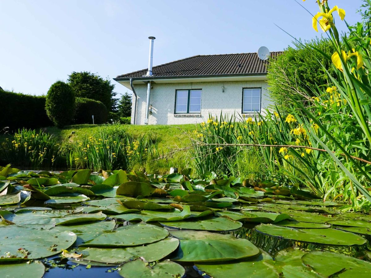 Blick vom Gartenteich auf das Haus