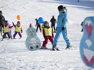 Appartamento Zell am Ziller Ambiente 51
