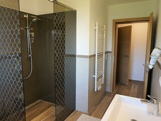 Large bathroom with toilet and walk-in shower