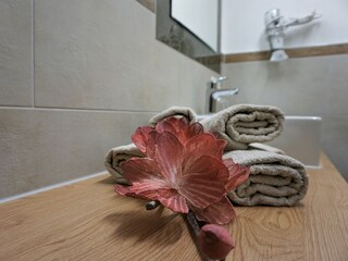 Appartamento Zell am Ziller Caratteristiche 33