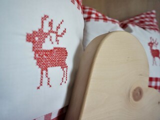 Appartement Zell am Ziller Kenmerken 36