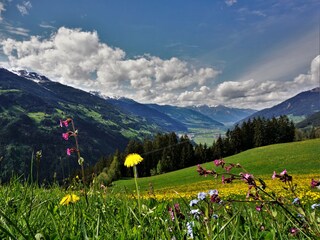 Appartement Zell am Ziller Buitenaudio-opname 9
