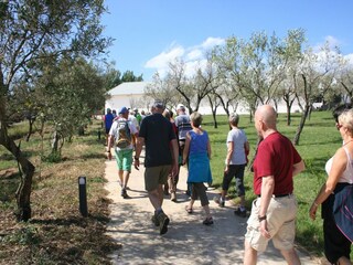 Vakantiehuis San Pietro a Maida Omgeving 19