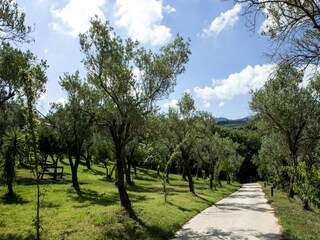 Vakantiehuis San Pietro a Maida Omgeving 17