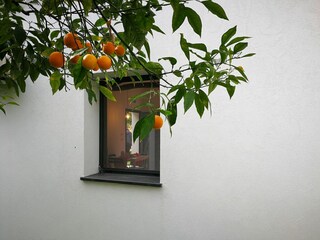 Holiday house San Pietro a Maida  33