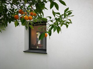 Holiday house San Pietro a Maida  35