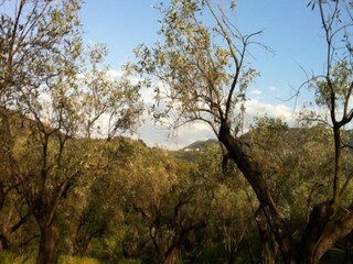 Holiday house San Pietro a Maida Environment 22