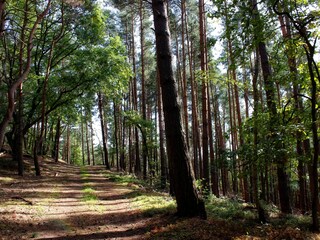 Apartamento de vacaciones Heimbach/Eifel Entorno 20