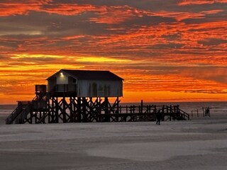 Typische Pfahlbauten