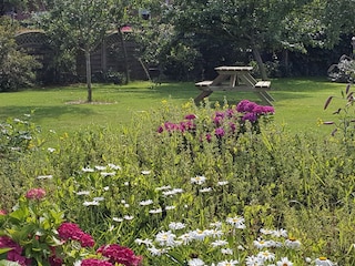 Garten mit Picknicktisch