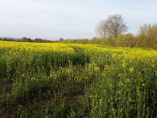 Umgebung von Hürup