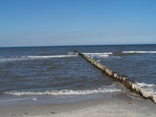 der Zingster Sandstrand