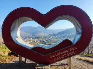 Waldulmer Herz in den Reben