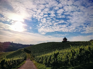 Lenke Rebhäusel, fußläufig zu erreichen