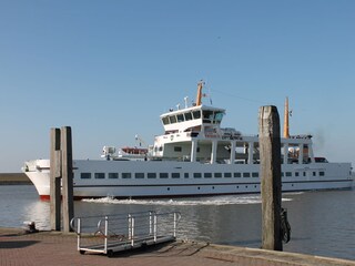 Frisia Fähre