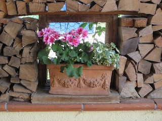 Ferienwohnung Starnberg Umgebung 7