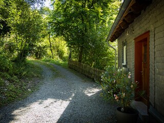 Ferienhaus Brilon Außenaufnahme 5